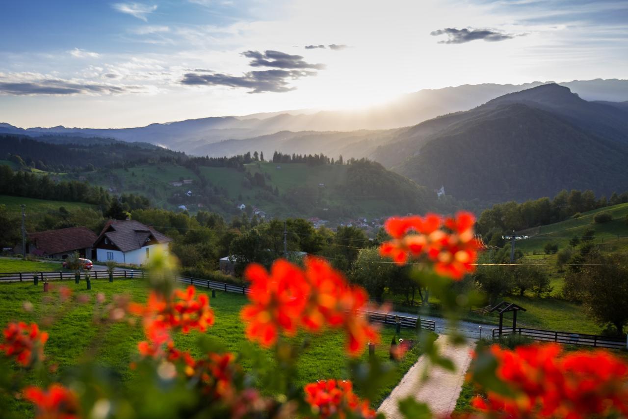 Bran Monte Crai Chalet Zewnętrze zdjęcie