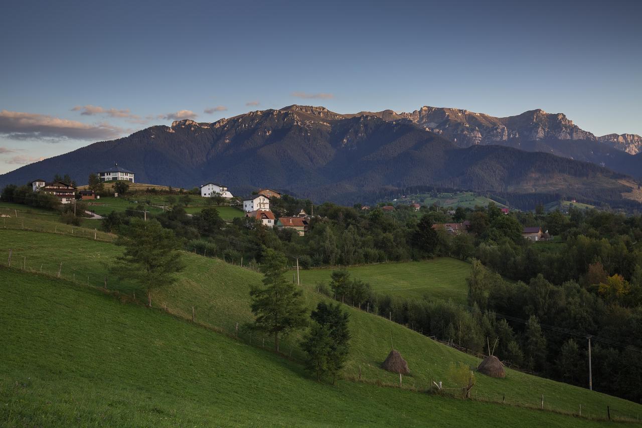 Bran Monte Crai Chalet Zewnętrze zdjęcie