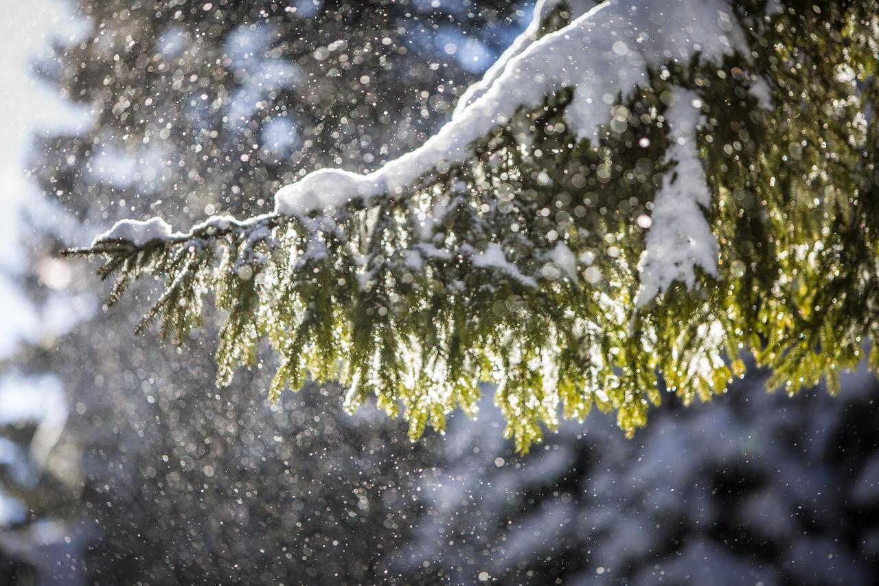 Bran Monte Crai Chalet Zewnętrze zdjęcie