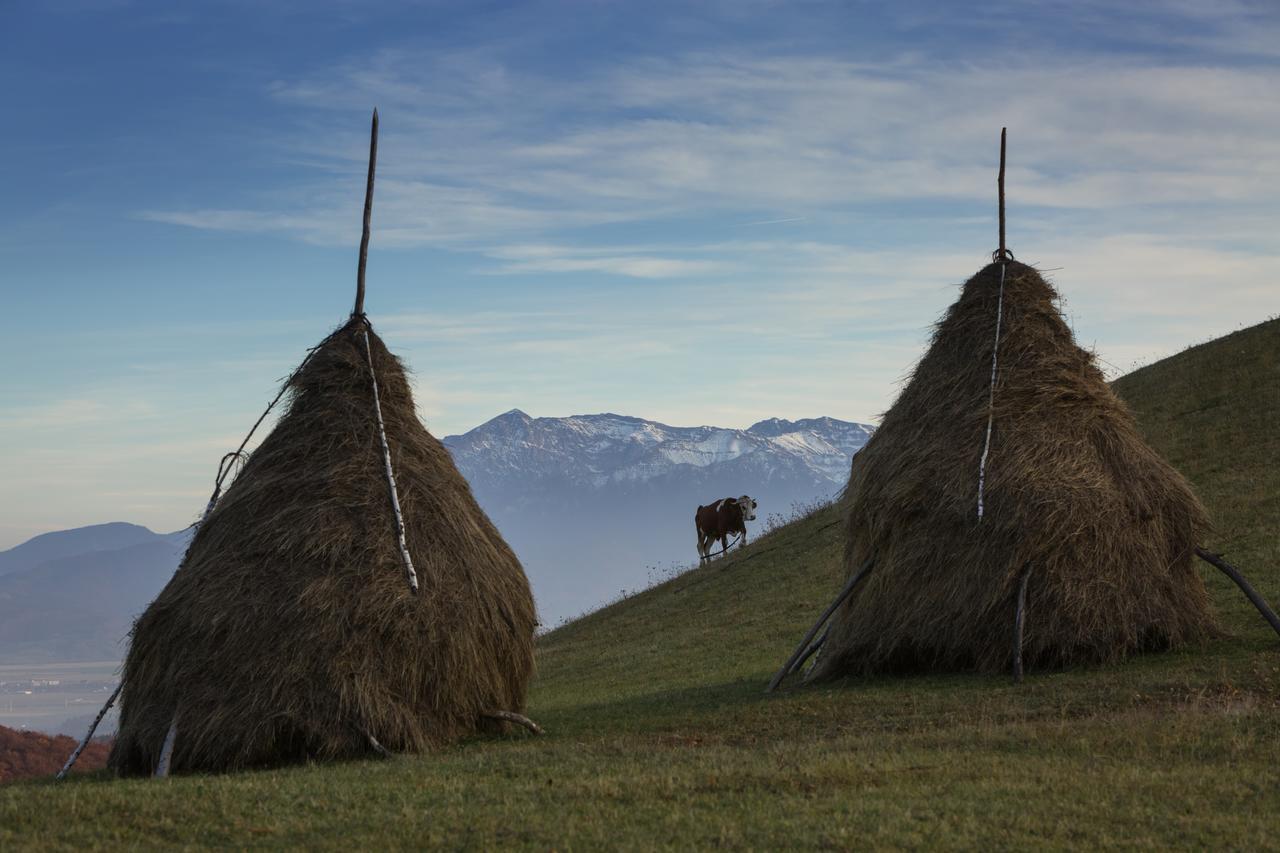 Bran Monte Crai Chalet Zewnętrze zdjęcie