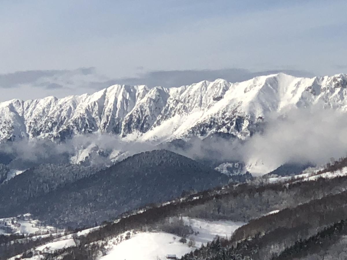 Bran Monte Crai Chalet Zewnętrze zdjęcie